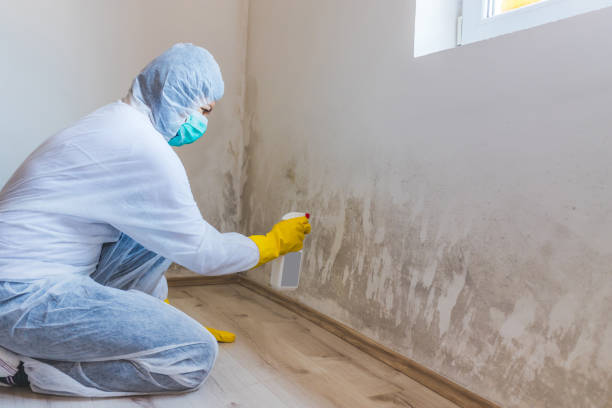 Mold Removal Process in Keller, TX