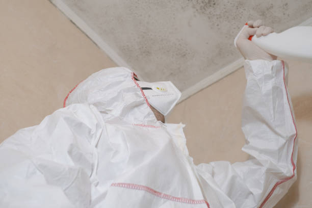 Best Residential Mold Removal  in Keller, TX