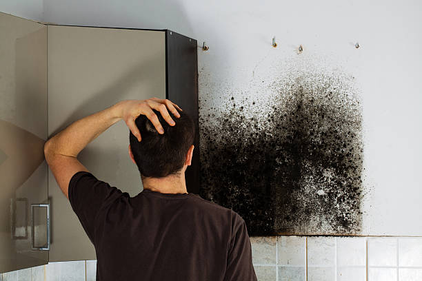 Best Office Mold Removal Services  in Keller, TX
